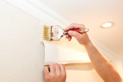 Pose de papier peint à Cauterets — revêtements muraux et toiles de verre